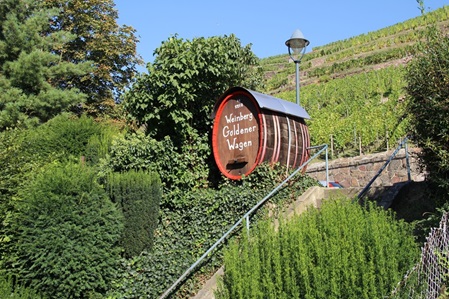 Am Goldenen Wagen Radebeul